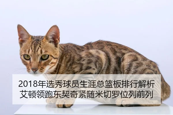 2018年选秀球员生涯总篮板排行解析 艾顿领跑东契奇紧随米切罗位列前列